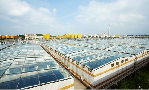 中國食品制造大王 調(diào)味品界的茅臺，億萬富豪工廠的“不打醬油”經(jīng)營哲學